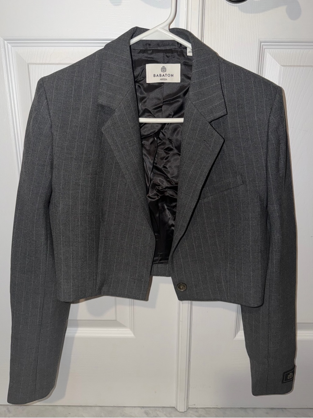 Babaton Aritzia Charcoal Pinstripe Cropped Blazer
